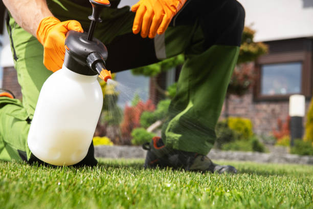 Best Emergency Pest Control  in Montegut, LA